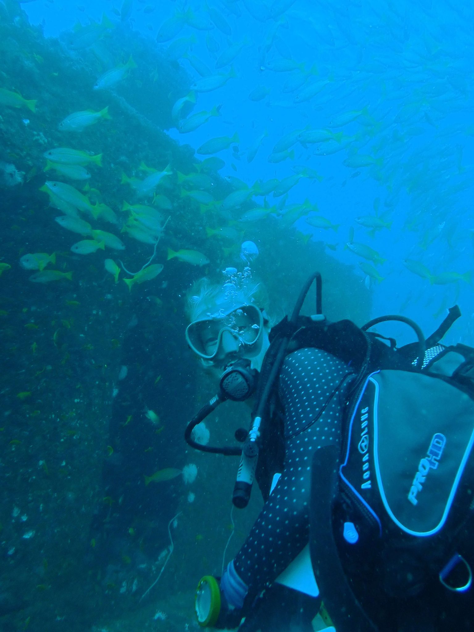 Diver on Wreck of MV Fish Eagle