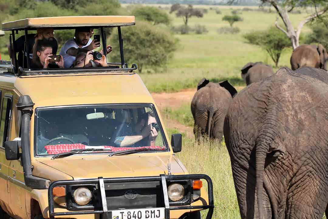 African Safari Vehicle