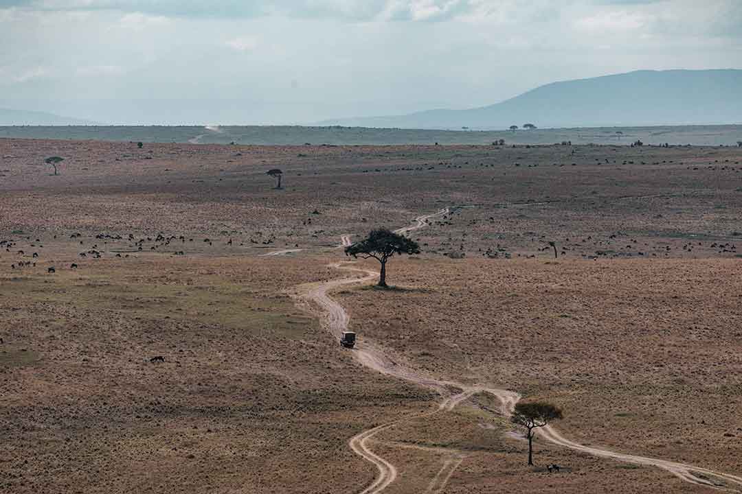 African Safari Vehicle