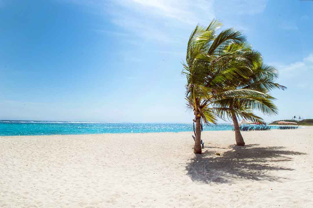 African Safari and Beach Holiday