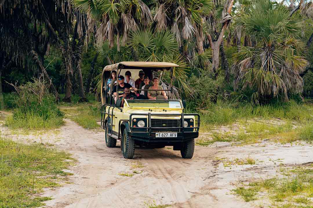African Safari Best Country
